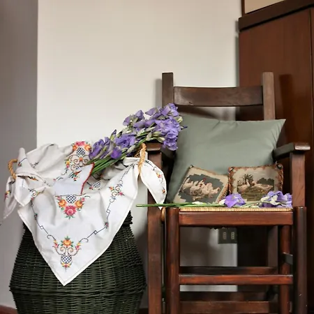 Canacci Undici Florencie